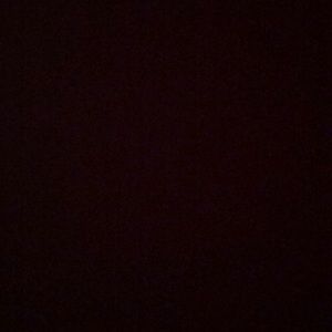 Meet your Posher, Daisy